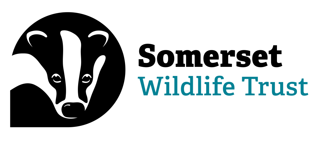 Somerset Wildlife Trust: Bristol Client.