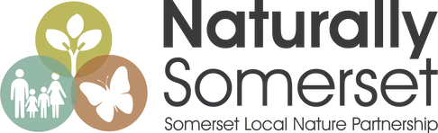 Naturally Somerset Logo: Bristol Client