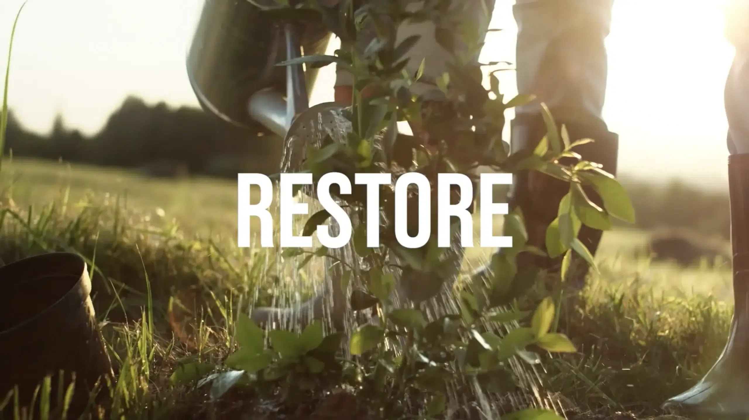 An image of someone watering a plant with the words "restore" on screen.