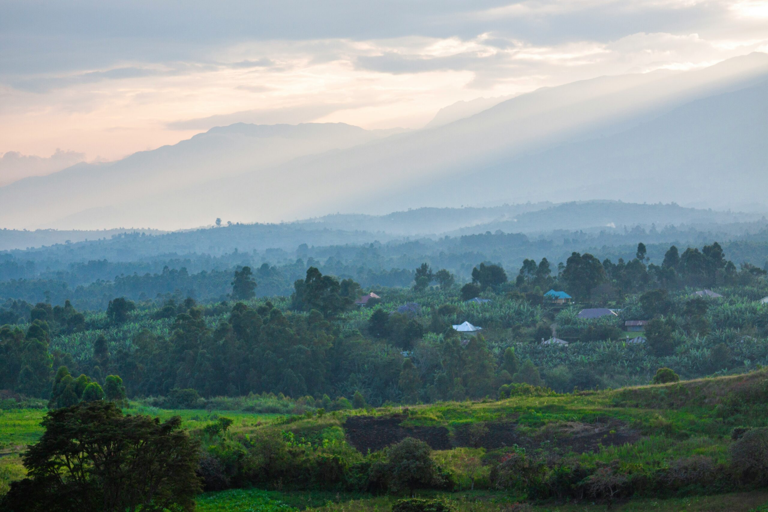 An image of Ugandan mountains.